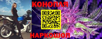 PSILOCYBIN Камышлов