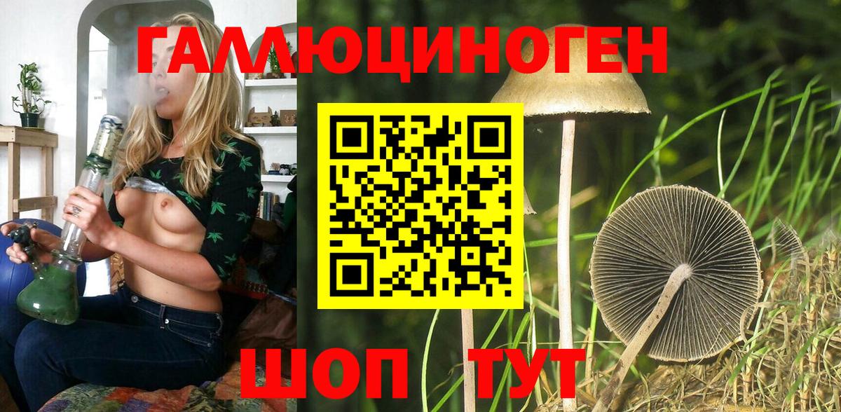 купить наркотики цена  Галлюциногенные грибы Magic Shrooms  Вход с VPN  Буйнакск 